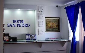 Hotel San Pedro